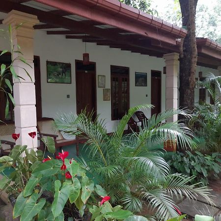 Sigiri Jungle Villa Sigiriya Eksteriør billede