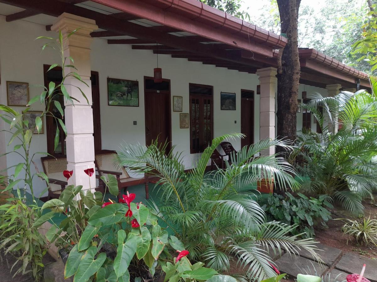 Sigiri Jungle Villa Sigiriya Eksteriør billede