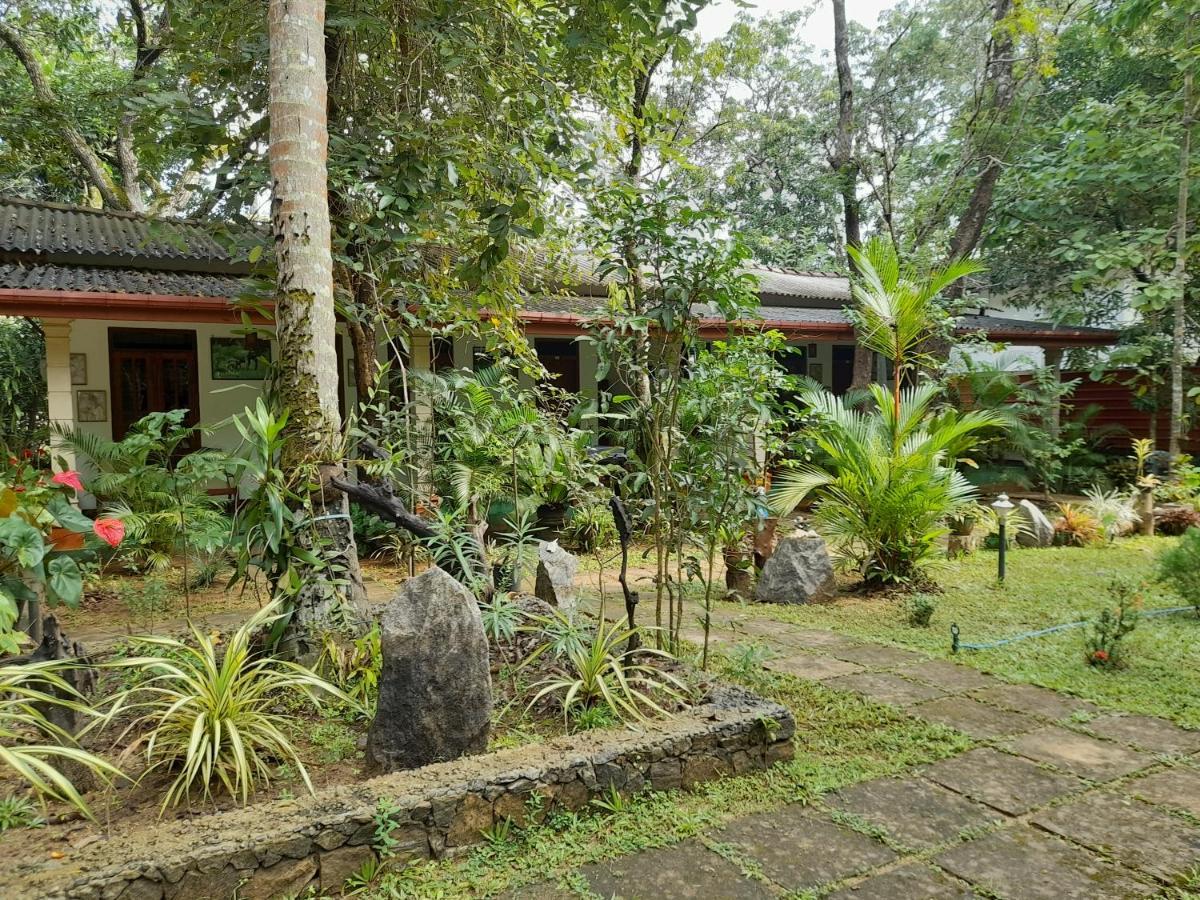 Sigiri Jungle Villa Sigiriya Eksteriør billede