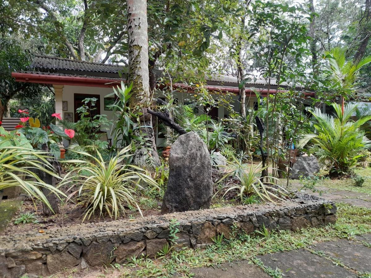 Sigiri Jungle Villa Sigiriya Eksteriør billede