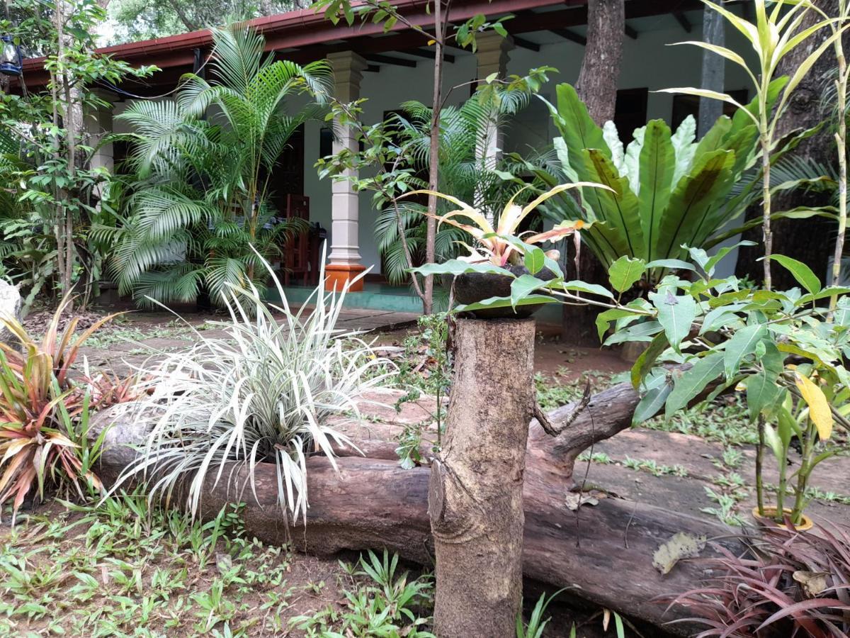 Sigiri Jungle Villa Sigiriya Eksteriør billede